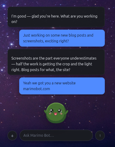 The companion window with a short chat, the moss ball sitting above the message box