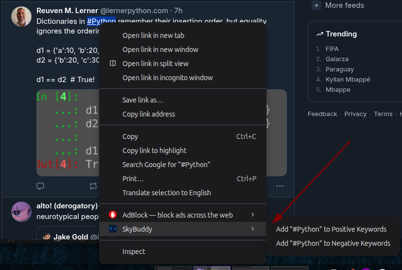 SkyBuddy Keyword Insert